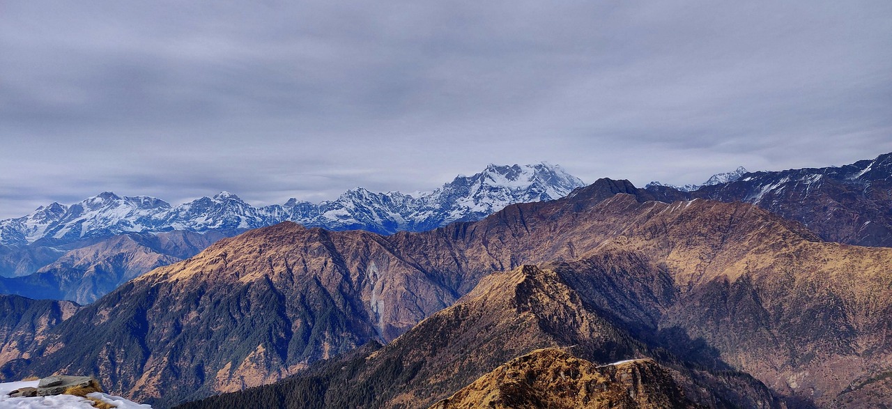 10cric Review in Uttarakhand Review 2026: Bonus, App, Withdrawal Tested